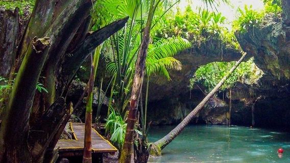 CozumelTours