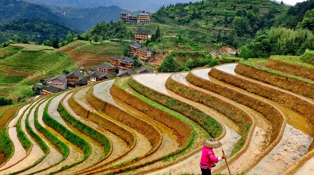 桂林：龍脊梯田及陽朔翠屏山日落日遊