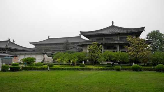 Xi'anTravel Services
