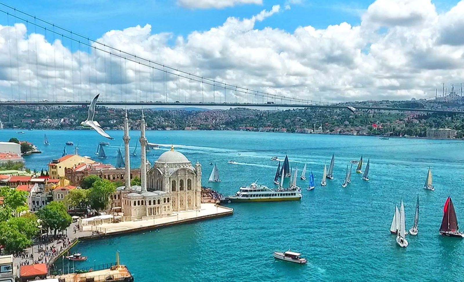 Guided Bosphorus Cruise, Pierre Loti Hill, Golden Horn Bus Tour. All Tickets, Small Group