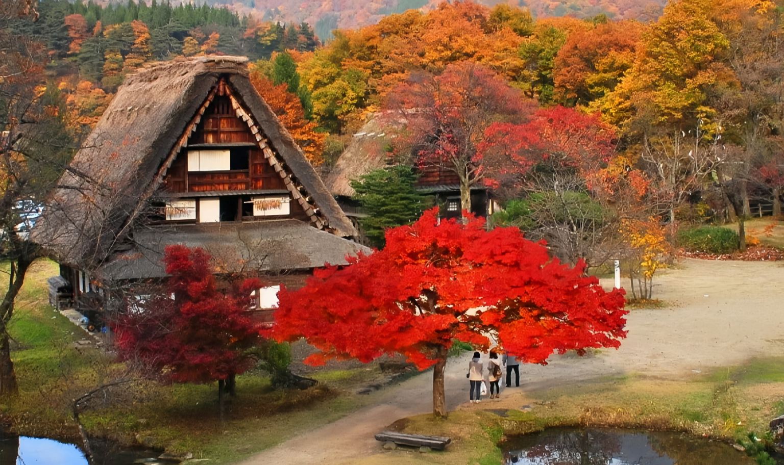 Shirakawa-go Day Tour