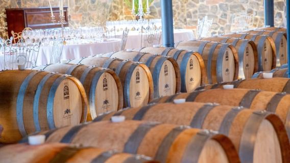 San Gimignano: Makan Tengahari atau Makan Malam di Kilang Wain dengan Rasa Wain