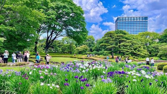 Tokio: Jardín Este del Palacio Imperial con guía histórica