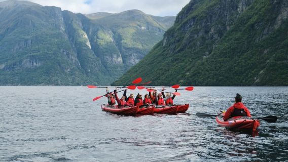 Geiranger: Beginner-Friendly Fjord Kayaking