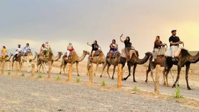 Marrakech: Agafay Desert Quad & Camel Rides with Dinner Show