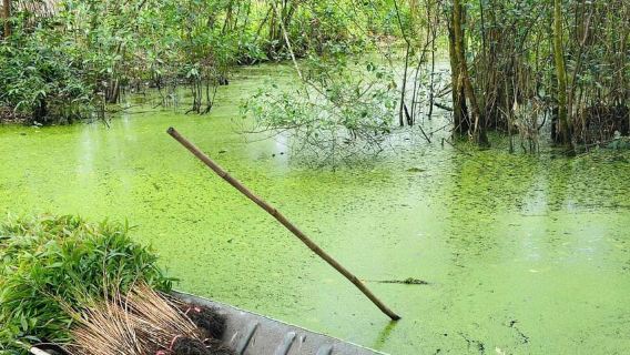 Can Tho: Floating Market, Canals, Nature Reserve & Forest