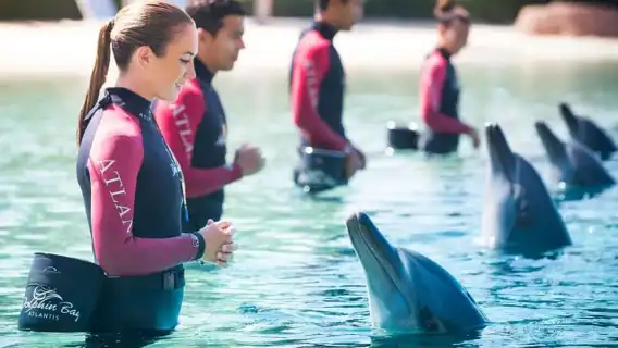 杜拜亞特蘭提斯飯店水世界:水上樂園一日通票
