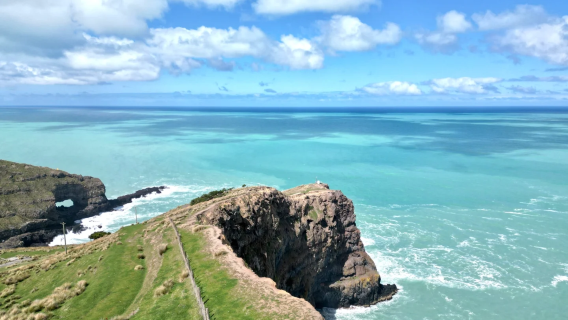 紐西蘭基督城—阿卡羅阿野生動物巡航+巨人之家【中文專車】