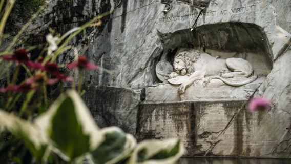 tour di un giorno a Lucerna (partenza da Zurigo)