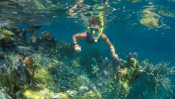 Nha Trang Snorkeling & Sunbeds & Fishing Village Tour (Private Tour)