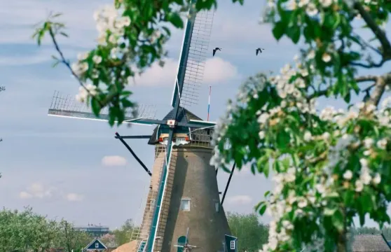 荷蘭阿姆斯特丹小孩堤防+鹿特丹+海牙【中文包車+行程定制】