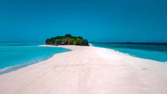 馬來西亞仙本那馬布島+卡帕萊島一日遊/中英文/兩次浮潛