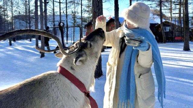 Lawatan Sehari ke Gelanggang Ski Yabuli Xintiwei dengan Perkhidmatan Kereta Api Berkelajuan Tinggi [Pakaian Ski Viral + Goggles Ski + Helmet]