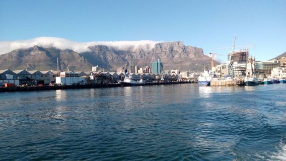 南非|開普敦一日遊【包車10小時】