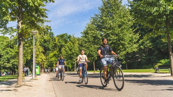 Recorrido en bicicleta por Ámsterdam en grupos pequeños + crucero por los canales opcional