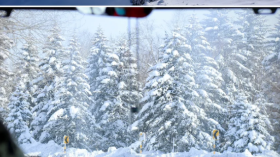 Baishan Summit Views · Private Hot Spring Pool Relaxation · Hassle-Free 1-Day Tour