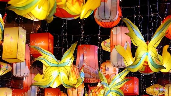 合肥市區包車9小時一日遊|快速打卡合肥博物院＋市區路線任選