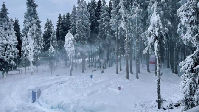 仙女山冬季限定玩雪/滑雪【2-8人包車遊&含門票&上門接駁】