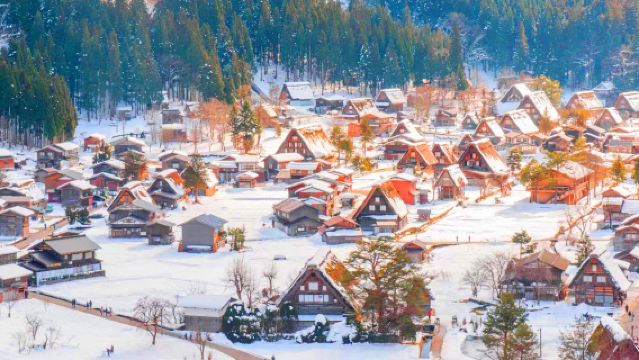 日本名古屋秘境之旅白川鄉+飛彈高地一日遊【9人小團含接送】