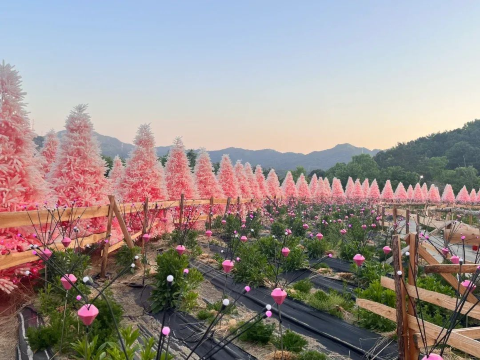 【首爾-抱川一日遊】藝術谷+香草島樂園+山井湖+鴿子囊瀑布