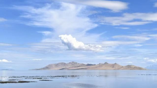 美國鹽湖城邦納維爾鹽藻+粉紅湖【中文包車+黃石公園定制】