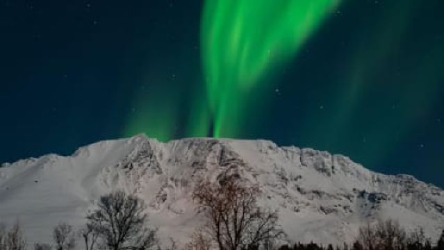 Tromsø: Săn cực quang trọn gói bao gồm ảnh chụp, đồ ăn & thức uống