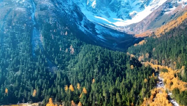 Salida desde Chengdu: Excursión VIP de un día a Bipenggou con servicio de coche privado con conductor (incluye botella de oxígeno y agua), entrada no incluida