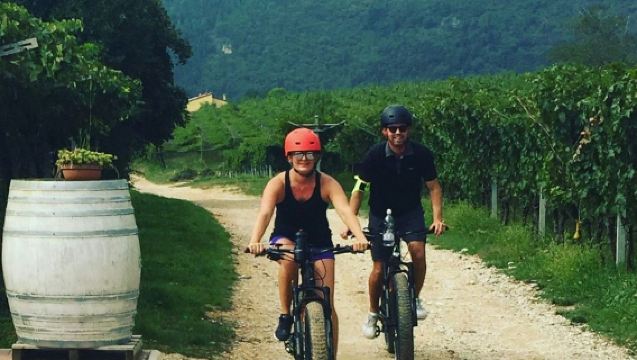 Valpolicella Vineyards: E-bike Tour with Wine Tasting