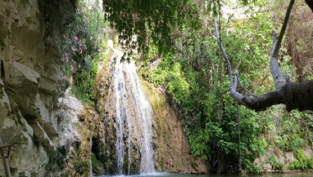 Pemandu pelancong di seluruh Cyprus / Penterjemah perniagaan / Perkhidmatan tersuai peribadi / Lawatan bebas dengan sambutan tempatan