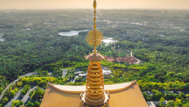 南京專業導遊導覽，南京當地導遊中文/英文 (多種小語種可選)【中山陵+總統府+牛首山文化旅遊區等景點，免費定制線路】