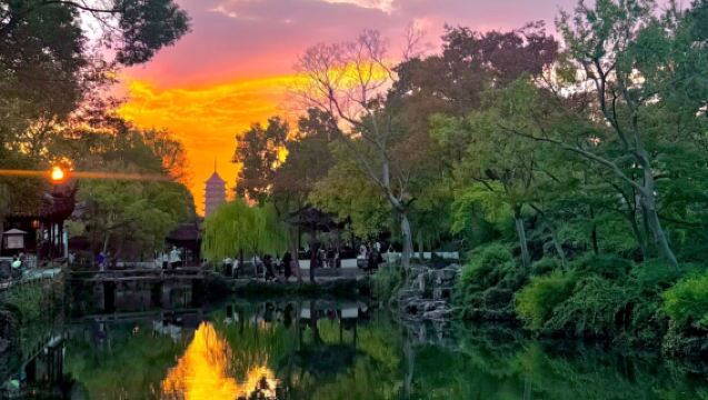 From Shanghai: Suzhou Garden &Temple Day Excursion—Humble Administrator's Garden + Hanshan