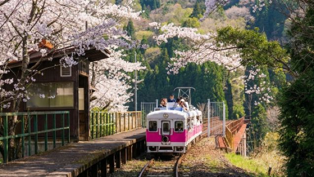 Jednodniowa wycieczka po Kiusiu w Japonii: Wąwóz Takachiho w Miyazaki + Kolejka Górska Sky Train + Doświadczenie w Amanoiwato-jinja