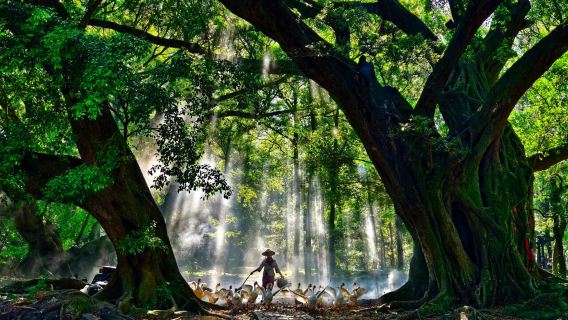 【霞浦日出線】北岐日出+花竹村+小皓東壁日落含接送門票