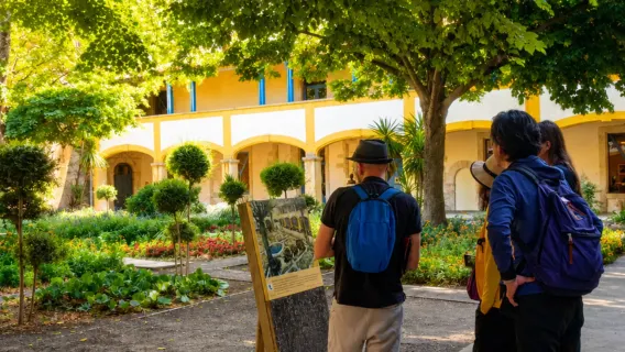 1-day tour to Saint-Remy-de-Provence + Arles in France | Provence and Van Gogh themed tour