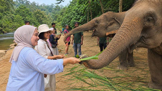 Batu Caves & Elephant Sanctuary with KL Complimentary Tour