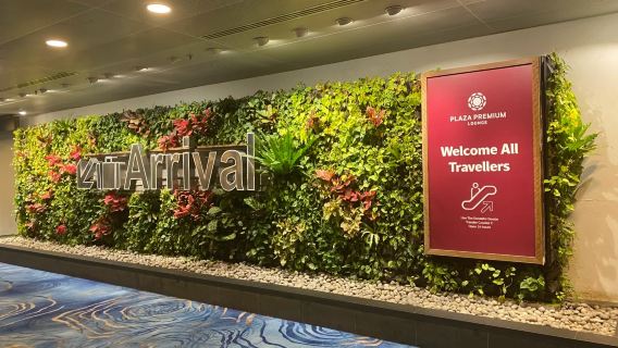 Singapore Changi Airport SIN VIP lounge pass VIP rest lounge transfer overnight/waiting for flight rest/dining and shower