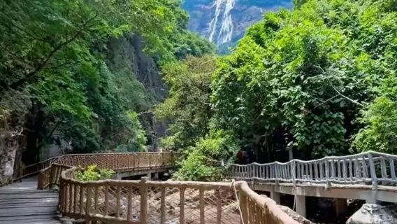 Dagstur til Guangzhou Bai Jianghu Skovpark + Zhengguo Gamle Gade + Baishui Zhai med kinesisk og engelsk service