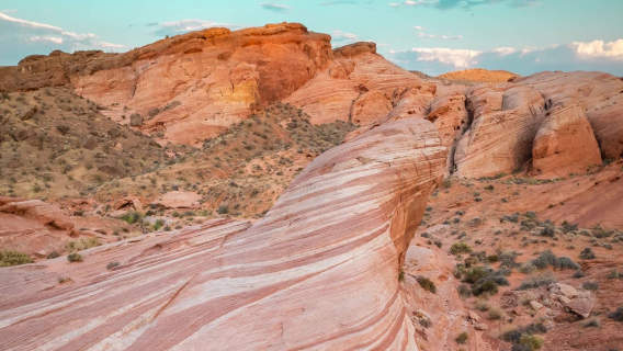Amerika Syarikat Las Vegas - Taman Negeri Valley of Fire - Bighorn Sheep Liar [Sewaan Peribadi - Kebebasan Menurut Hati]