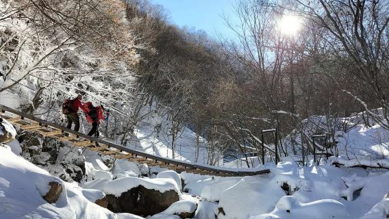 [Montanhas Artesanais] Experiência de caminhada com sapatos de neve na Cachoeira Yonago
