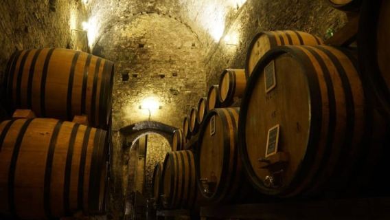 Montepulciano: Degustacja wina i wycieczka po piwnicy