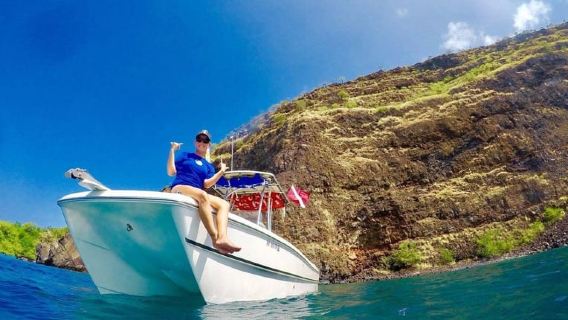 Kailua Kona: Dolphin, Sea Cave and Captain Cook Snorkel Tour
