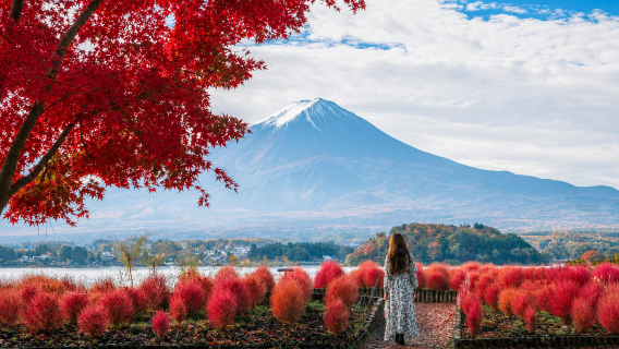 Small group of 9: Japan Mount Fuji six scenic spots 1-day tour with hotel pick-up & drop-off + Chinese/English service