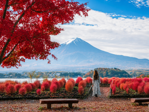 9人小團·日本富士山六景一日遊丨可酒店上門接送+中/英文服務