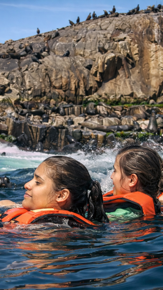 Palomino Islands sea lion swimming & wildlife boat tour from Callao