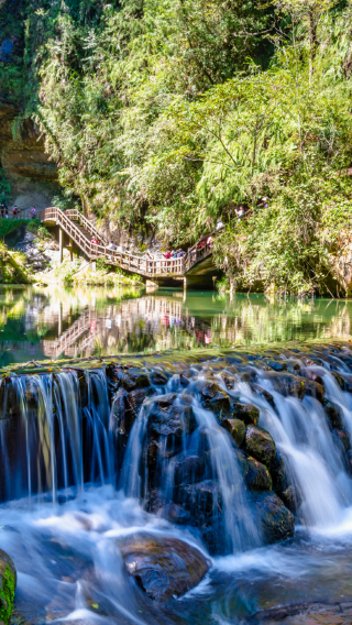 1-day tour to Shanlinxi Forest Park + Wangyou Forest (private charter available, admission ticket not included)