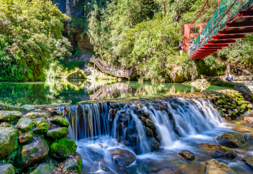 Sun Link Sea Forest Park + Wangyou Forest day tour | Private charter available