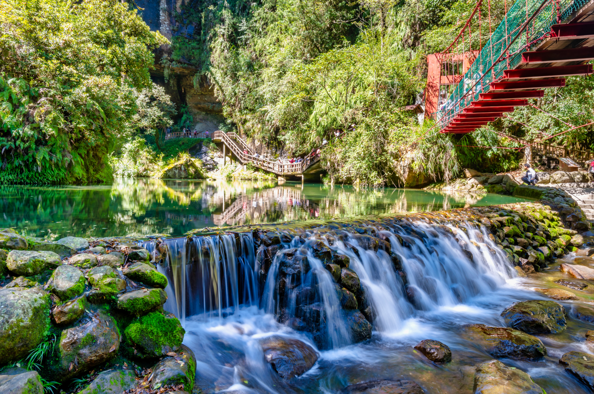 Sun Link Sea Forest Park + Wangyou Forest day tour | Private charter available