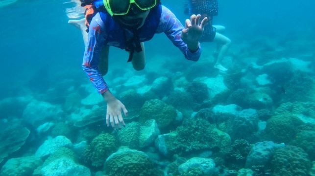 象島出發：快艇3島半日遊（Koh Rang+Yak Yai）