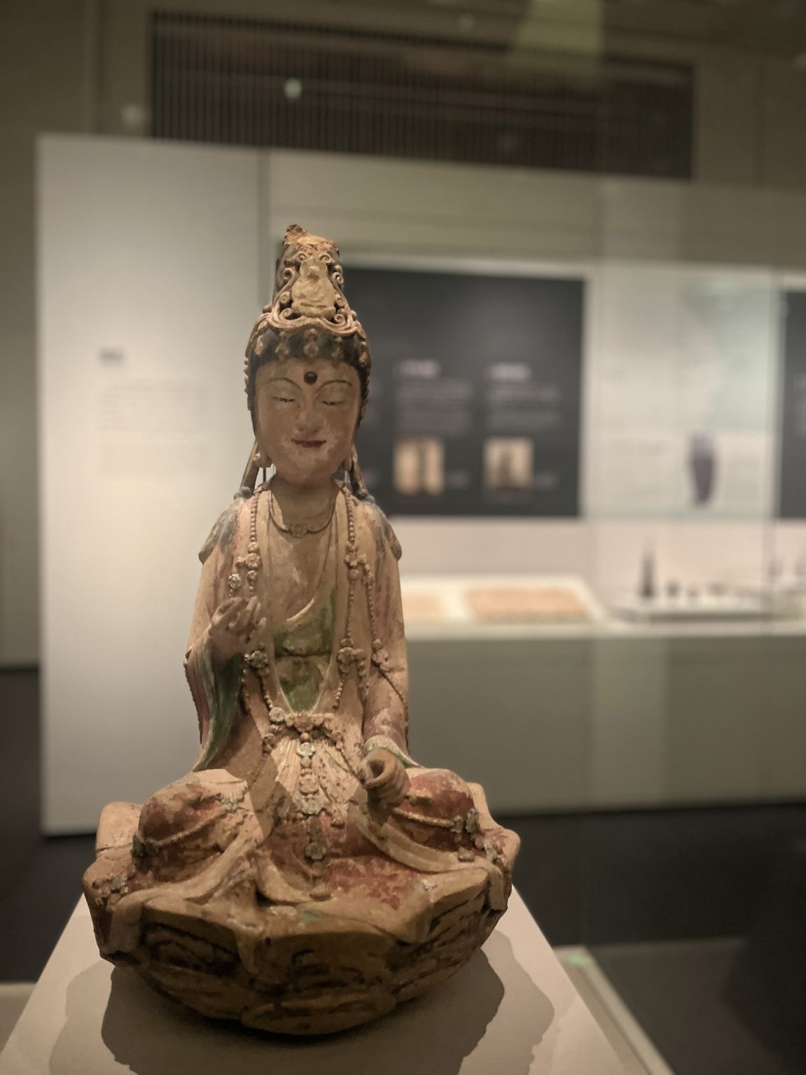 Exklusive Live-Führung im Zhejiang-Museum (Zhijiang-Gebäude) [inklusive Museums-Ticketreservierung, VIP-Privatgruppe]