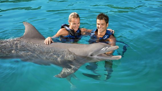 Delphinus Xel-Há: Fast Track Ticket + Hotel Pickup + Swim with Dolphins